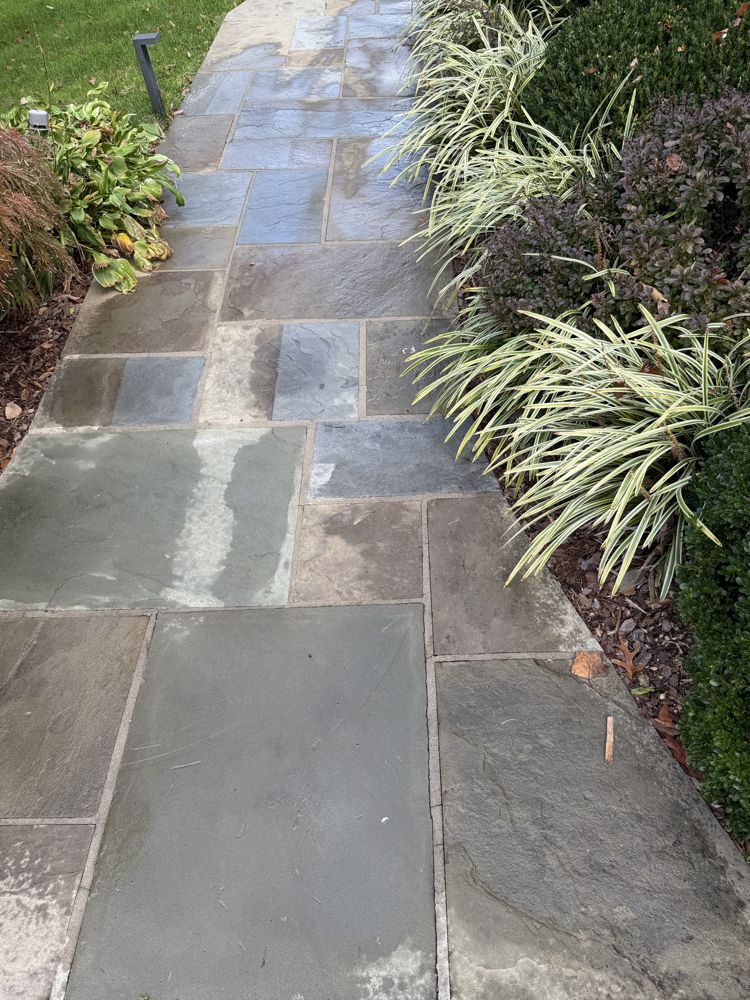 Flagstone walkway mid-clean showing the difference