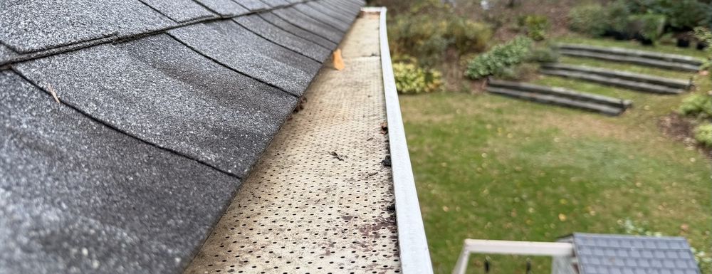 Gutter cleared of leaves